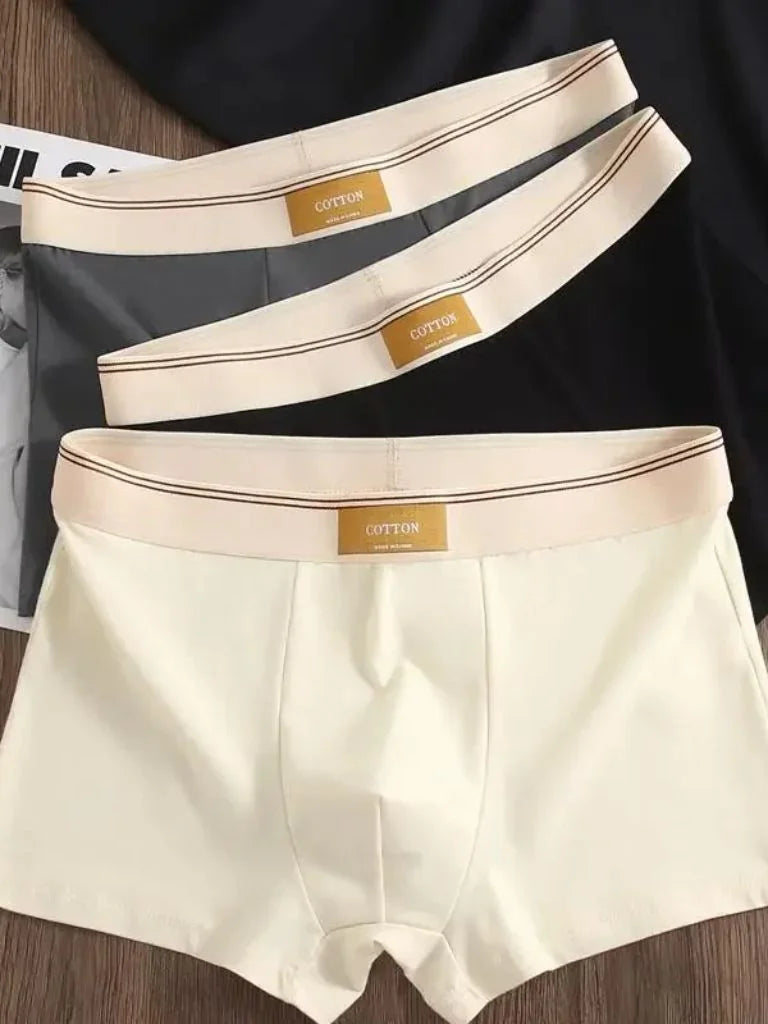 product_31432213102781.webp