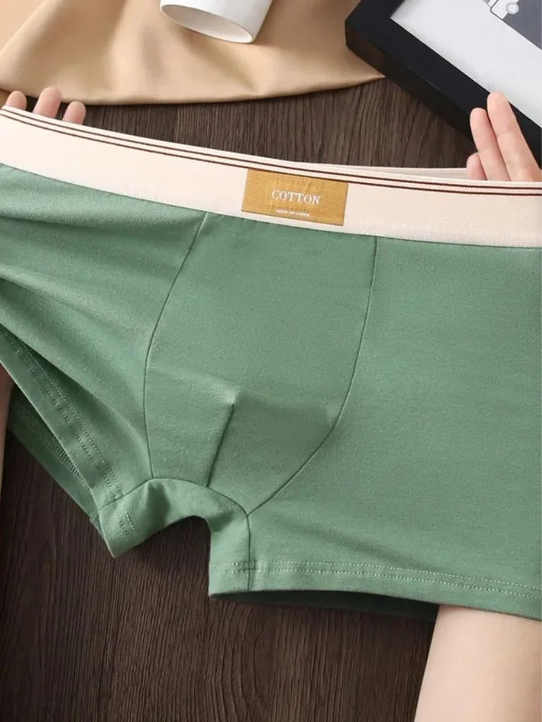 product_31432213233853.webp